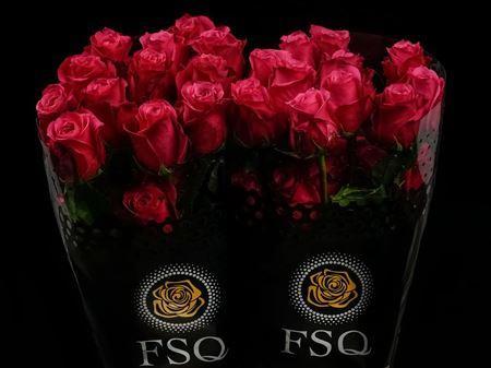 Срезанные цветы оптом Rosa ec cherry-o! от 40шт из Голландии с доставкой по России