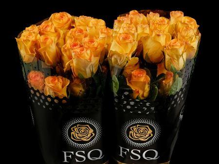 Срезанные цветы оптом Rosa ec deja vu от 20шт из Голландии с доставкой по России