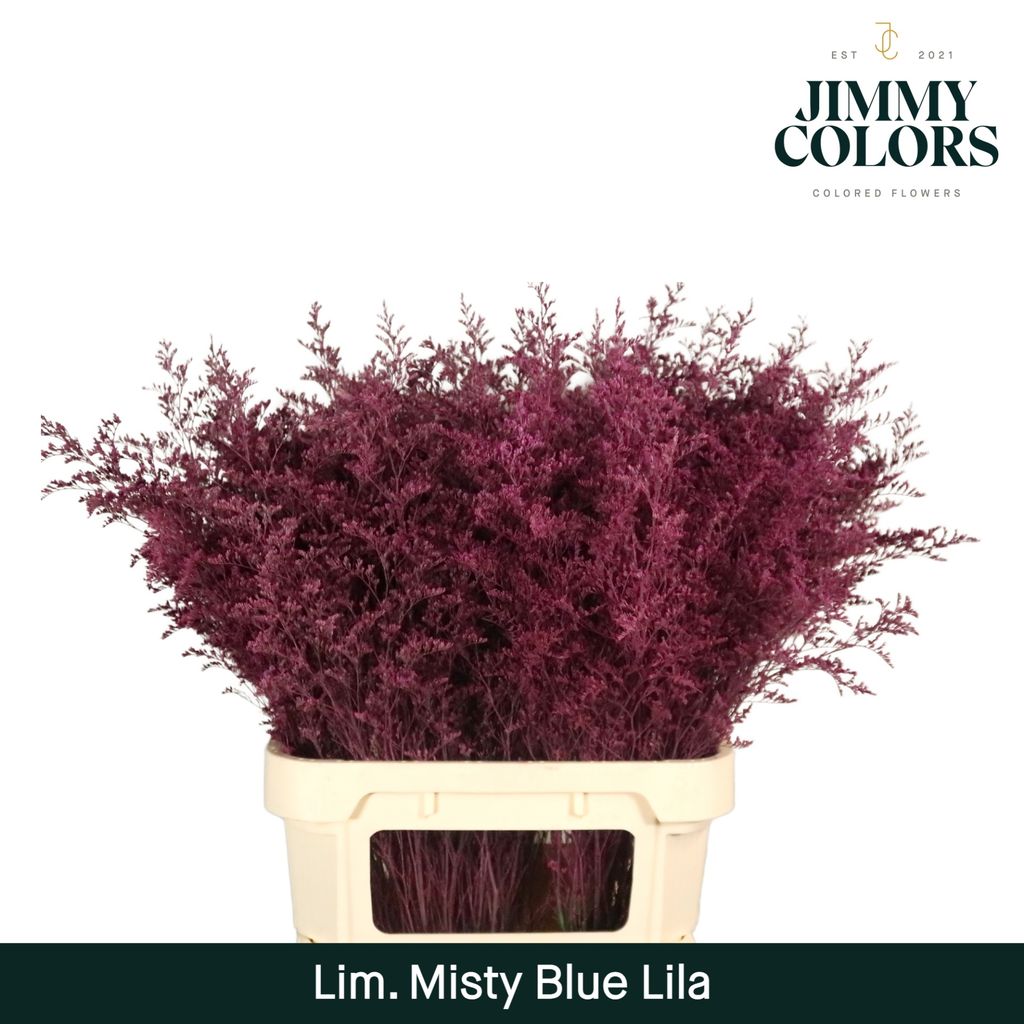 Срезанные цветы оптом Limonium misty blue paint lilac от 50шт из Голландии с доставкой по России