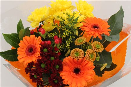 Срезанные цветы оптом Bouquet 9-10 stem orange от 10шт из Голландии с доставкой по России