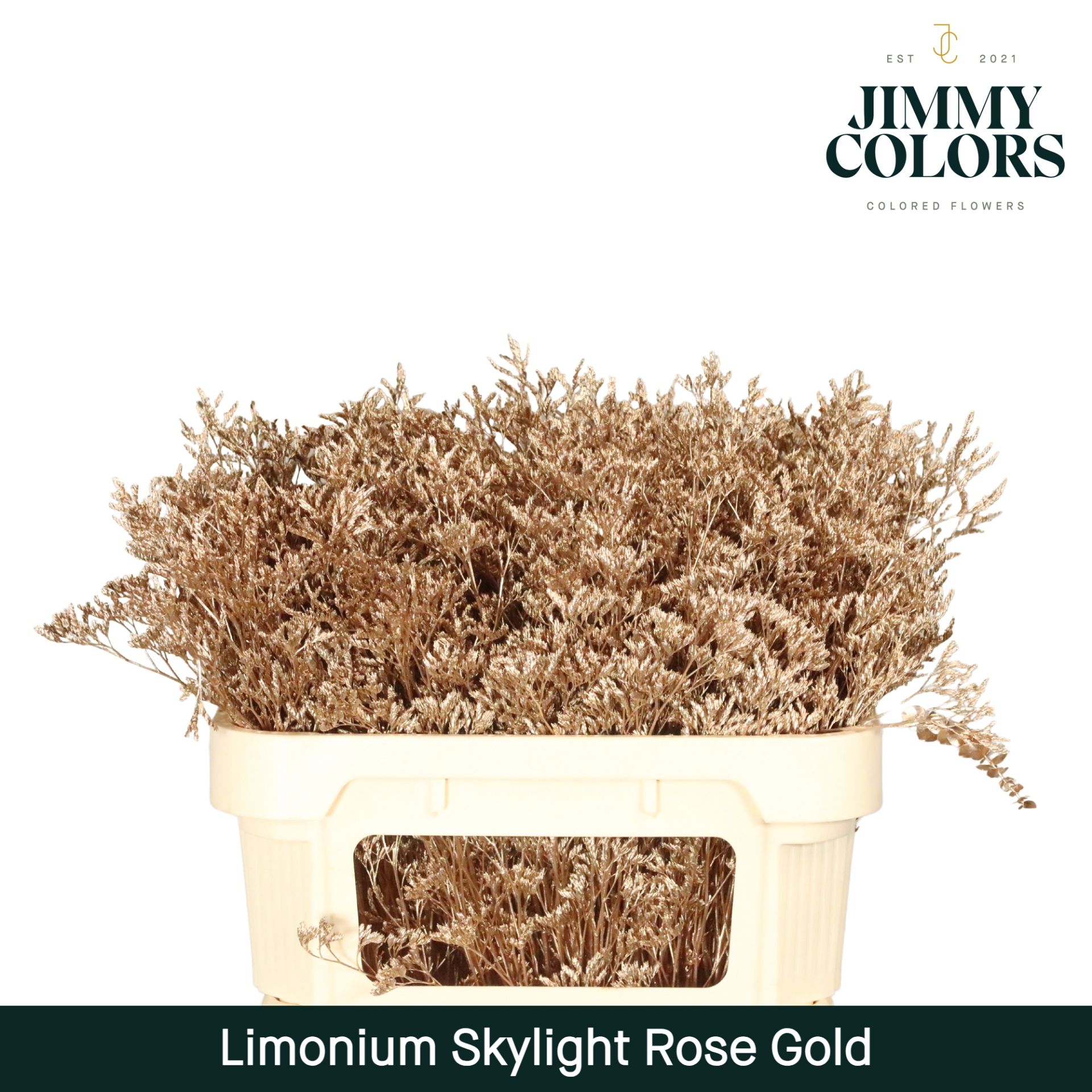 Срезанные цветы оптом Limonium paint pink gold от 50шт из Голландии с доставкой по России