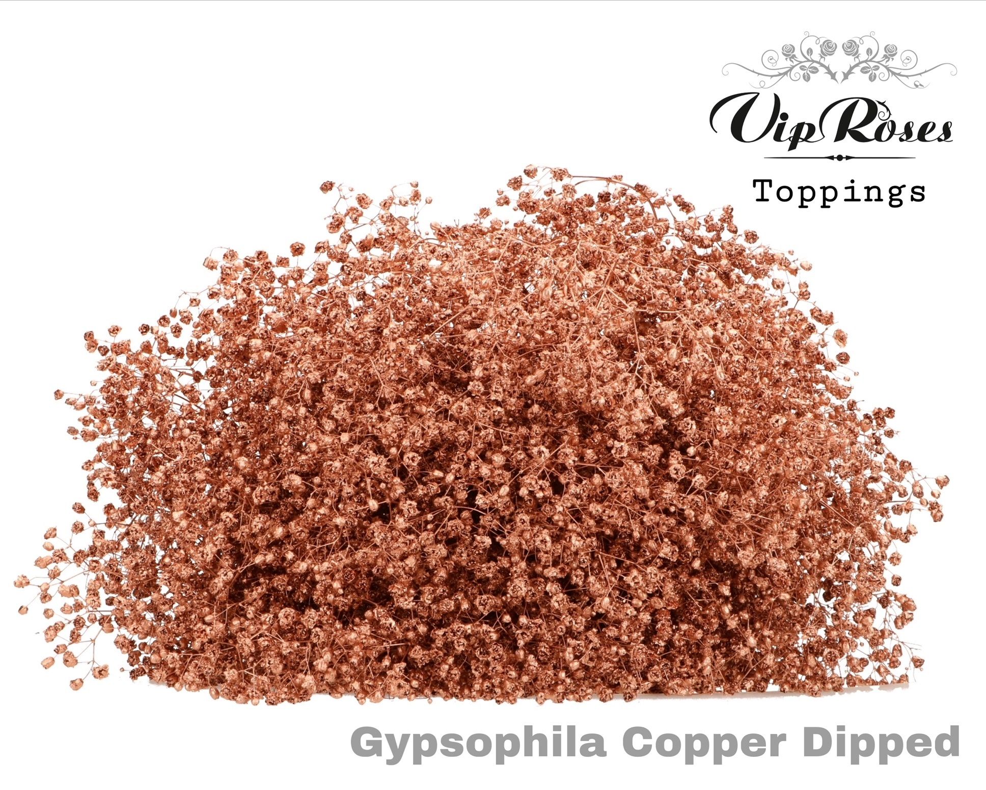 Срезанные цветы оптом Gyps fine paint copper dipped от 25шт из Голландии с доставкой по России