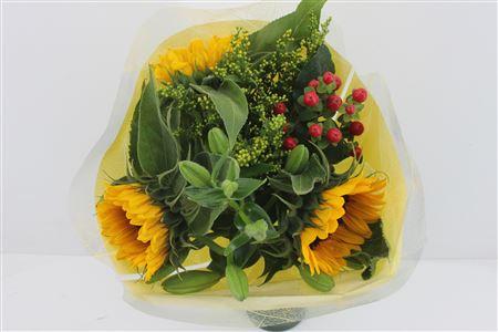 Срезанные цветы оптом Bouquet helianthus small от 10шт из Голландии с доставкой по России