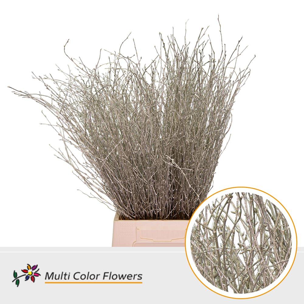 Срезанные цветы оптом Betula paint platinum от 100шт из Голландии с доставкой по России