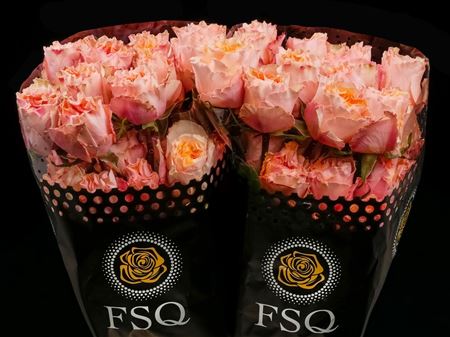 Срезанные цветы оптом Rosa garden campanella peach от 36шт из Голландии с доставкой по России