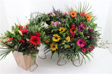 Срезанные цветы оптом Bouquet nora mix от 6шт из Голландии с доставкой по России