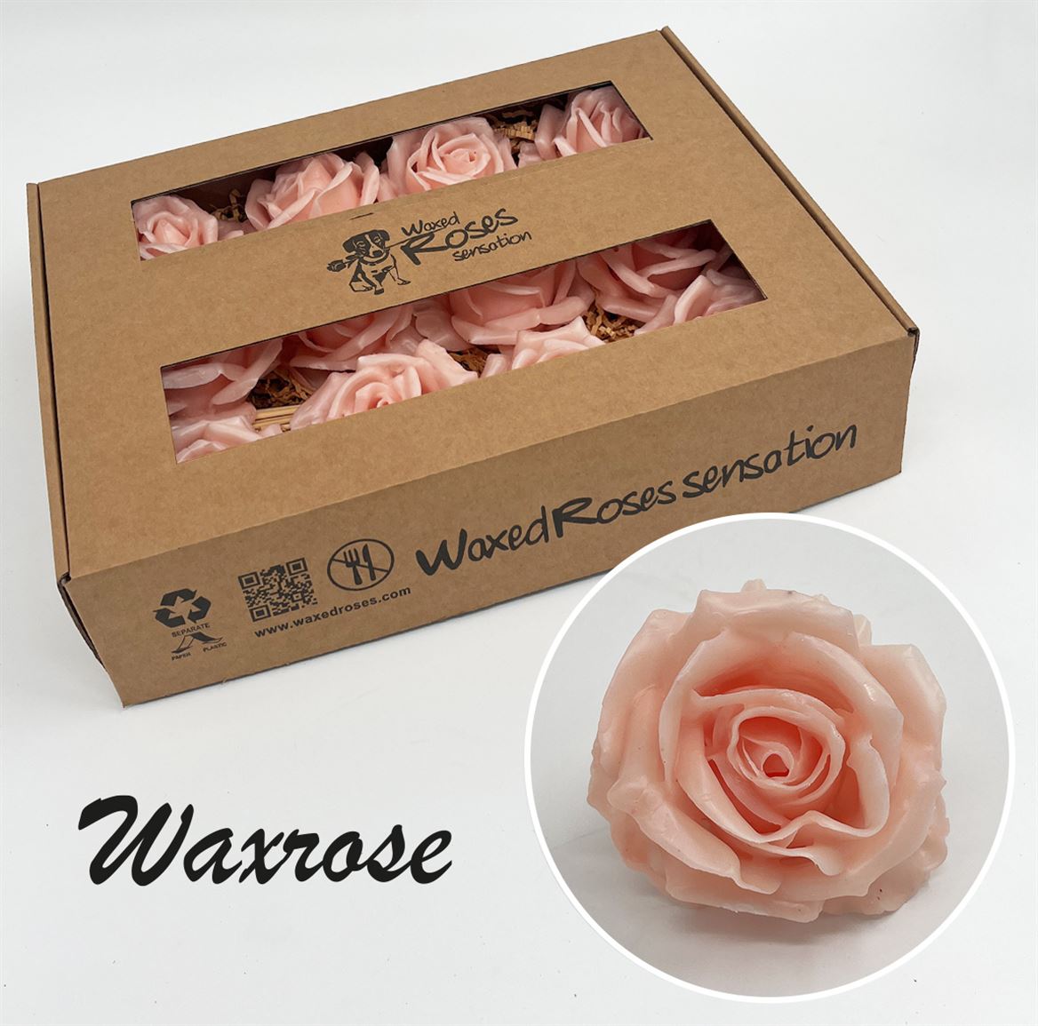 Срезанные цветы оптом Rosa large silk wax oceana от 12шт из Голландии с доставкой по России