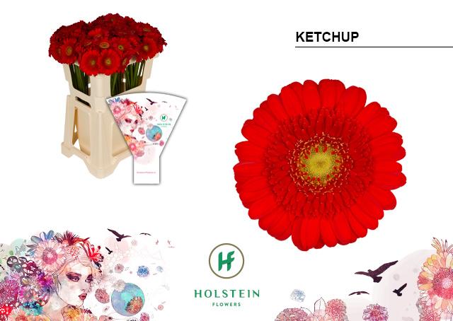 Срезанные цветы оптом Germini ketchup от 80шт из Голландии с доставкой по России