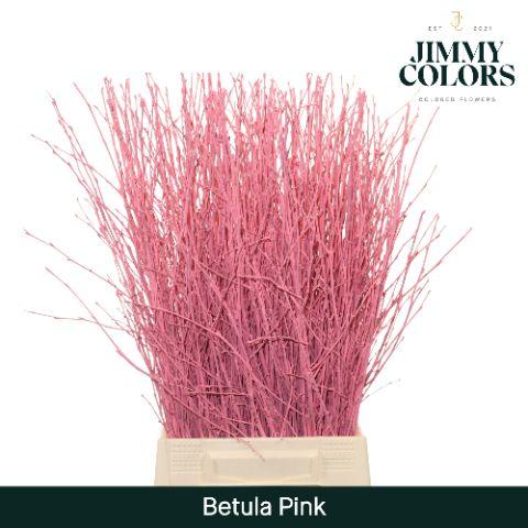 Срезанные цветы оптом Betula paint pink от 20шт из Голландии с доставкой по России