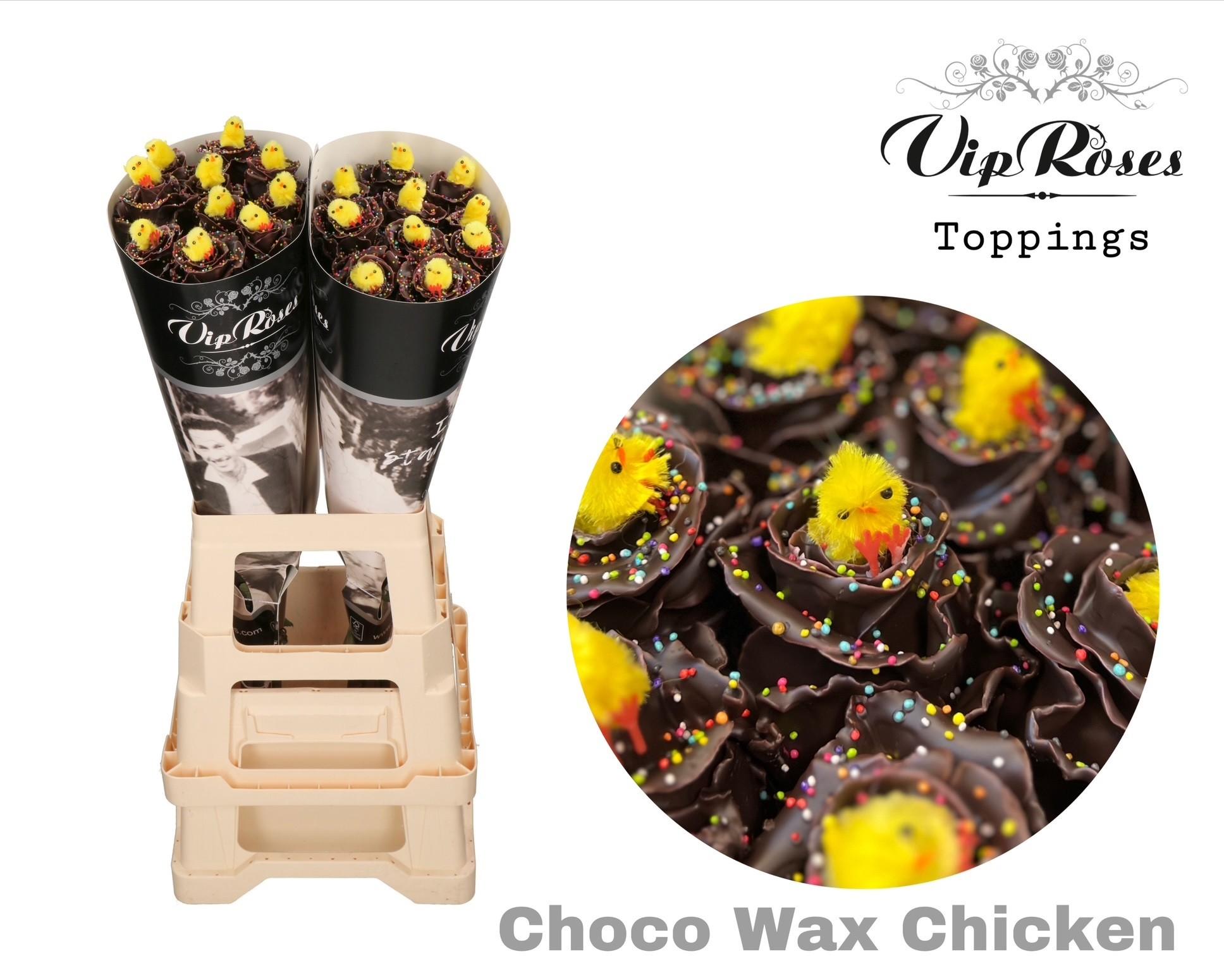 Срезанные цветы оптом Rosa large paint choco chicken от 20шт из Голландии с доставкой по России