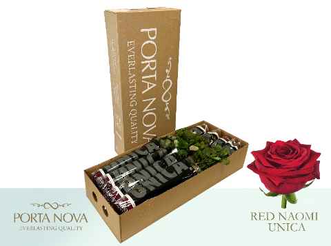 Срезанные цветы оптом Rosa la red naomi! Unica Porta Nova от 60шт. из Голландии с доставкой по России