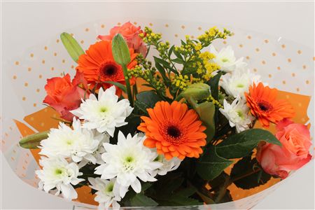 Срезанные цветы оптом Bouquet 3 rosa 3 germini orange от 5шт из Голландии с доставкой по России