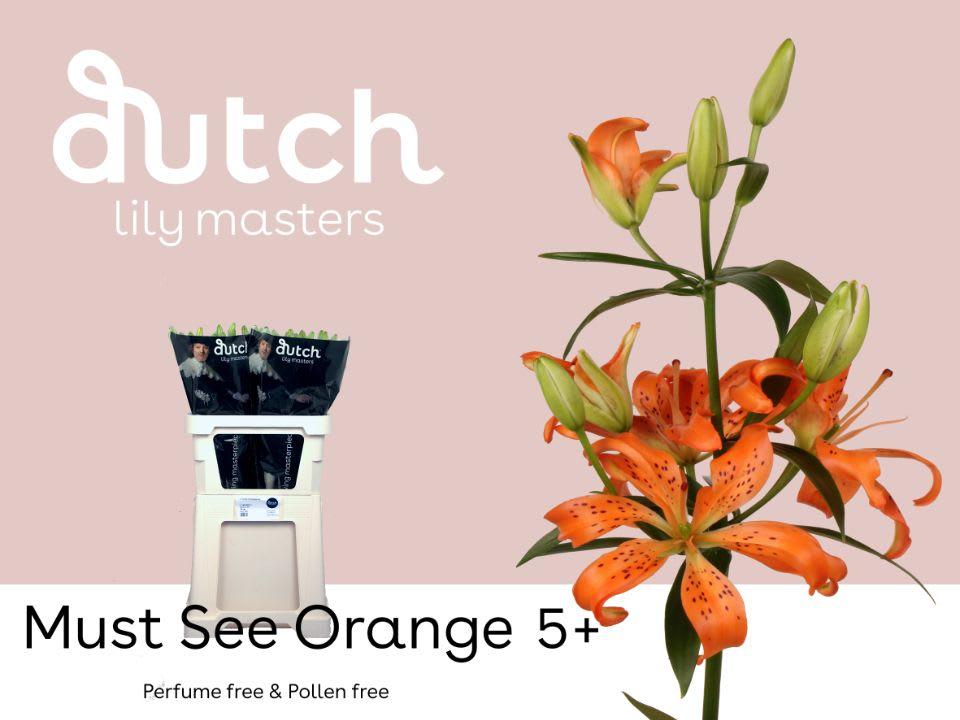 Срезанные цветы оптом Lilium as must see от 60шт из Голландии с доставкой по России