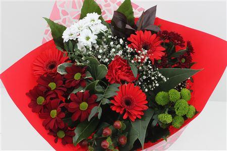 Срезанные цветы оптом Bouquet germini red от 3шт из Голландии с доставкой по России