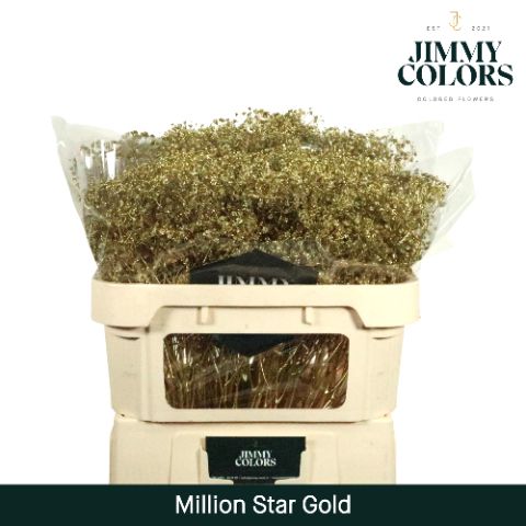 Срезанные цветы оптом Gyps fine paint gold от 25шт из Голландии с доставкой по России