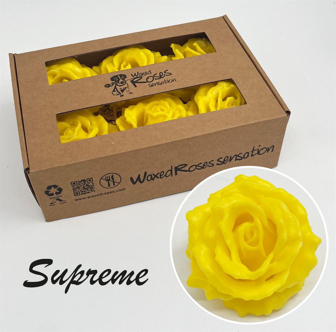 Срезанные цветы оптом Rosa large silk wax yellow от 6шт из Голландии с доставкой по России