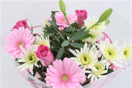 Срезанные цветы оптом Bouquet splash pink от 8шт из Голландии с доставкой по России