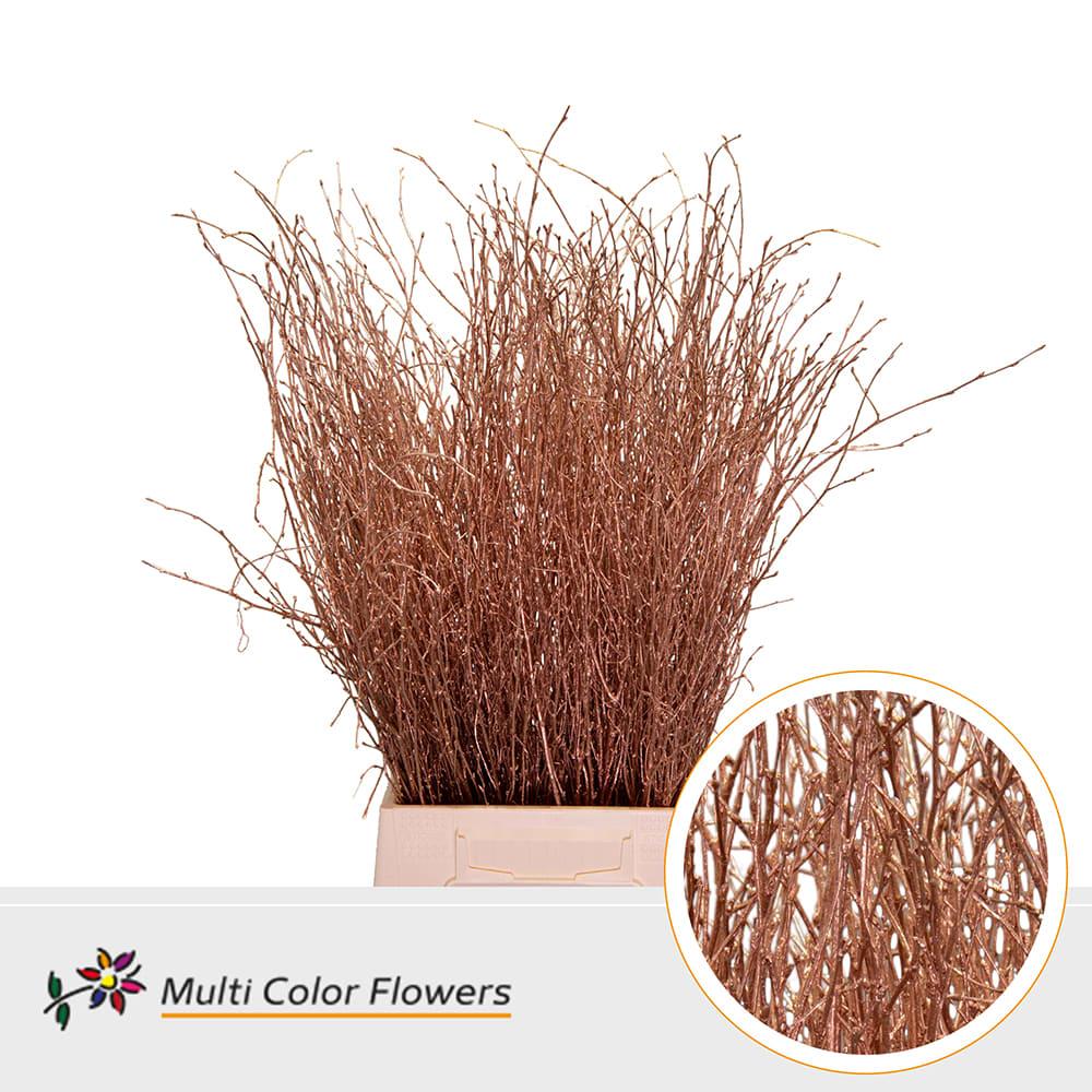 Срезанные цветы оптом Betula paint copper от 100шт из Голландии с доставкой по России