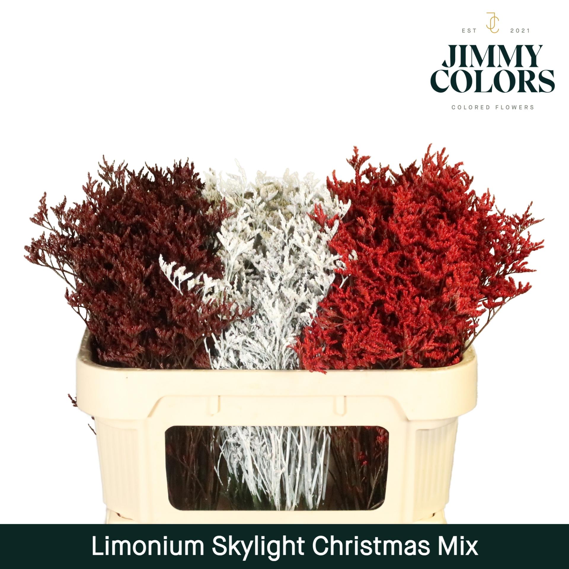 Срезанные цветы оптом Limonium paint mix christmas от 75шт из Голландии с доставкой по России