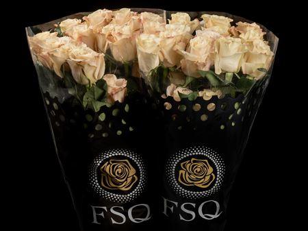 Срезанные цветы оптом Rosa ec bone от 40шт из Голландии с доставкой по России