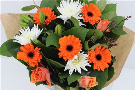 Срезанные цветы оптом Bouquet anastasia orange от 3шт из Голландии с доставкой по России