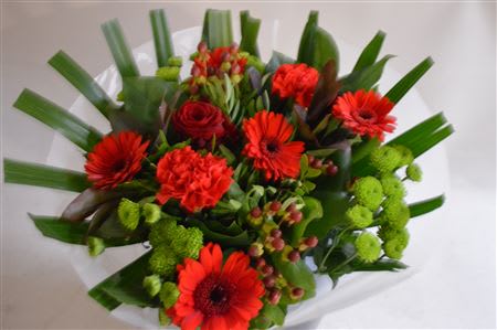 Срезанные цветы оптом Bouquet bm frosted red от 2шт из Голландии с доставкой по России