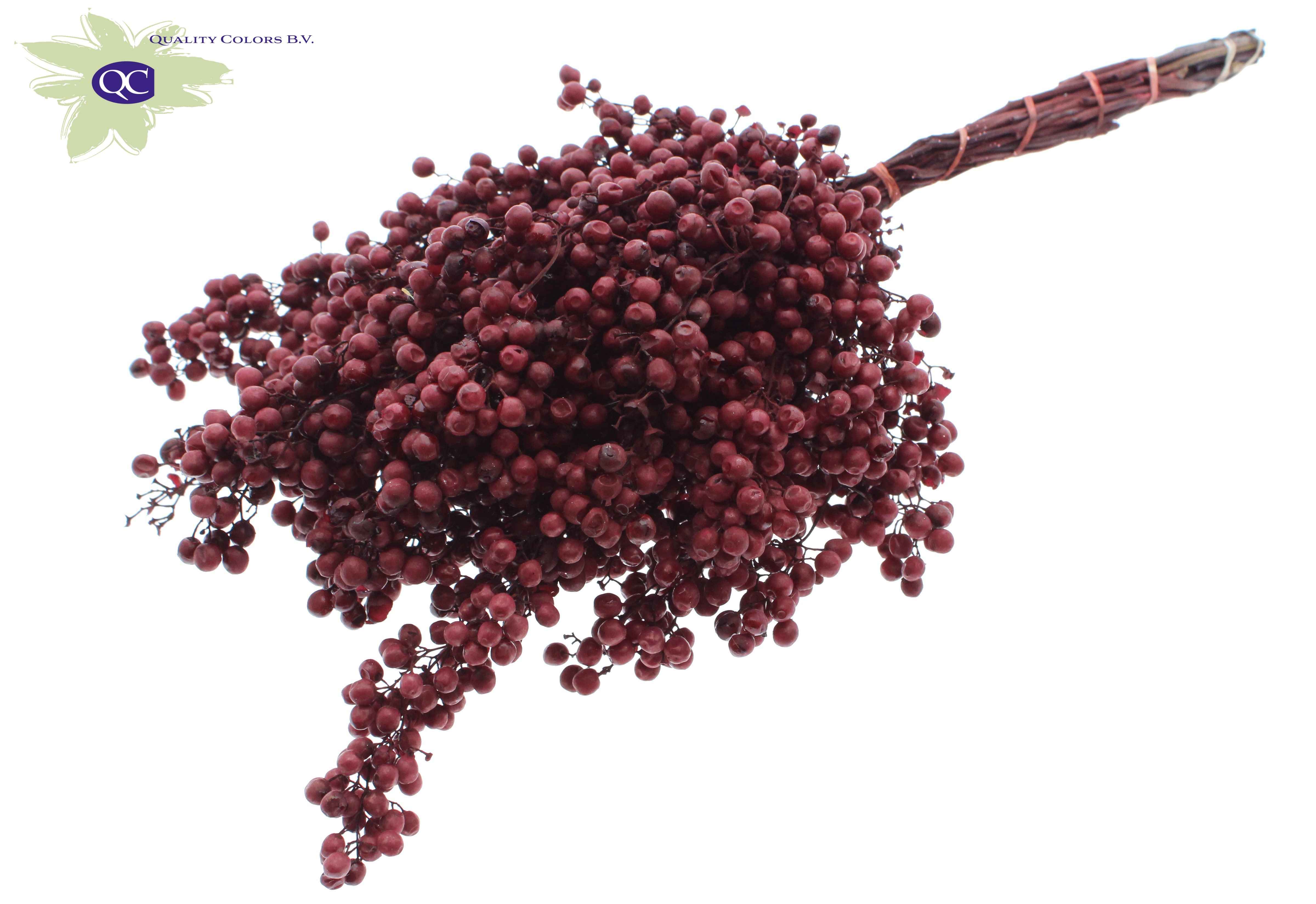 Срезанные цветы оптом Pepperberries per bunch in poly burgundy от 5шт из Голландии с доставкой по России