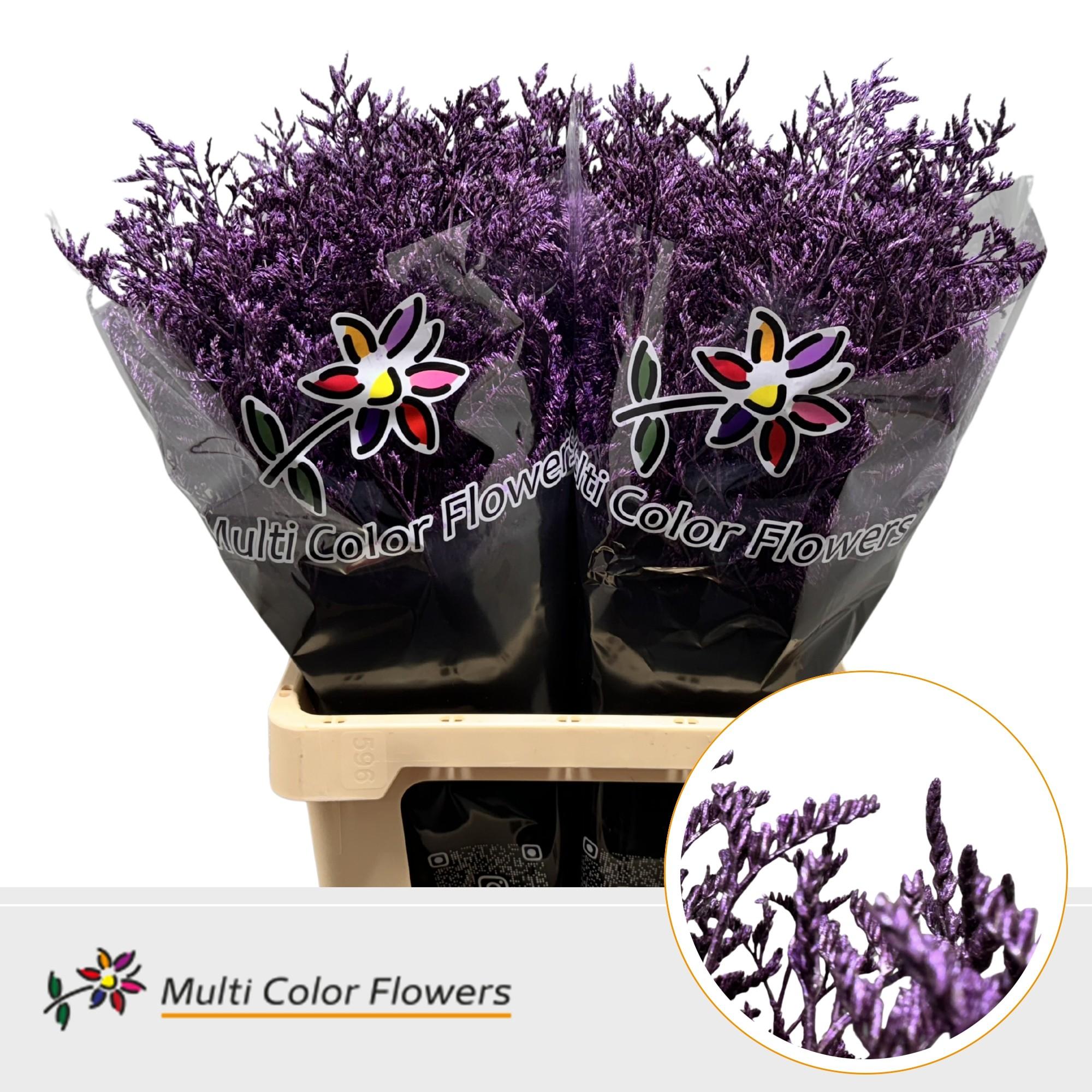 Срезанные цветы оптом Limonium paint metallic lila dark от 50шт из Голландии с доставкой по России