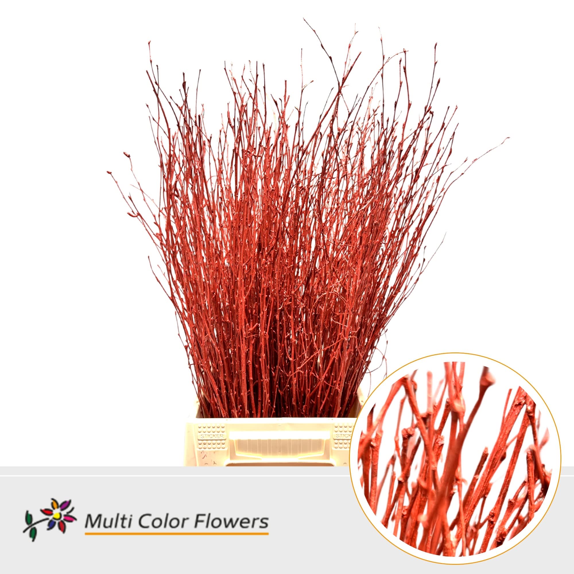 Срезанные цветы оптом Betula paint metallic red от 100шт из Голландии с доставкой по России