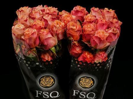 Срезанные цветы оптом Rosa ec carpe diem от 20шт из Голландии с доставкой по России