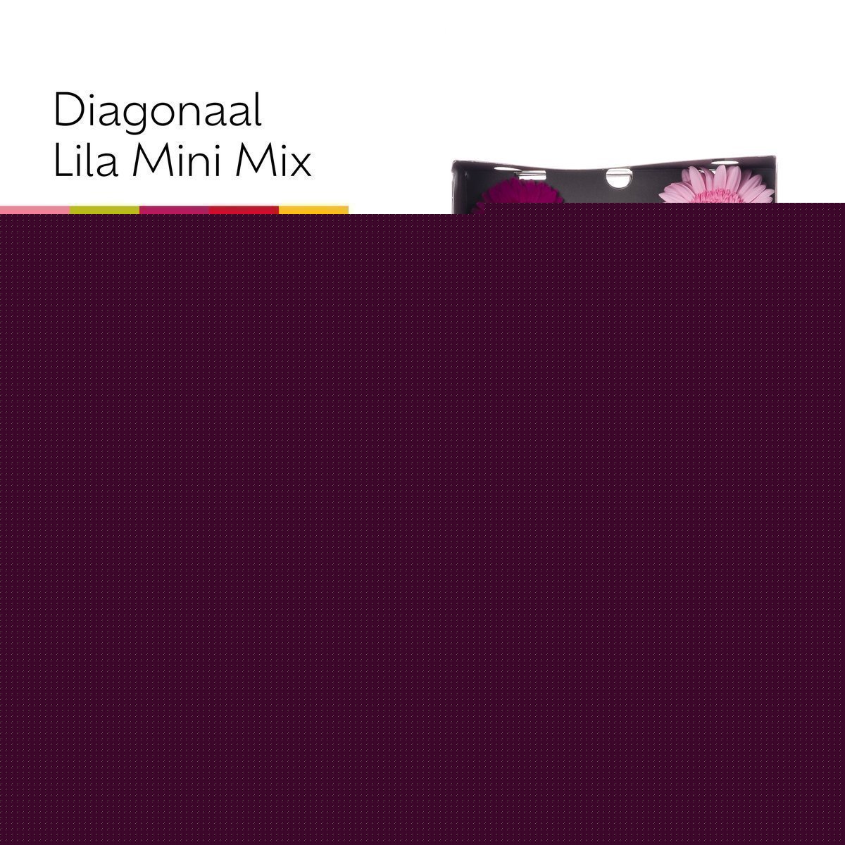 Срезанные цветы оптом Germini diamond mix pink от 80шт из Голландии с доставкой по России