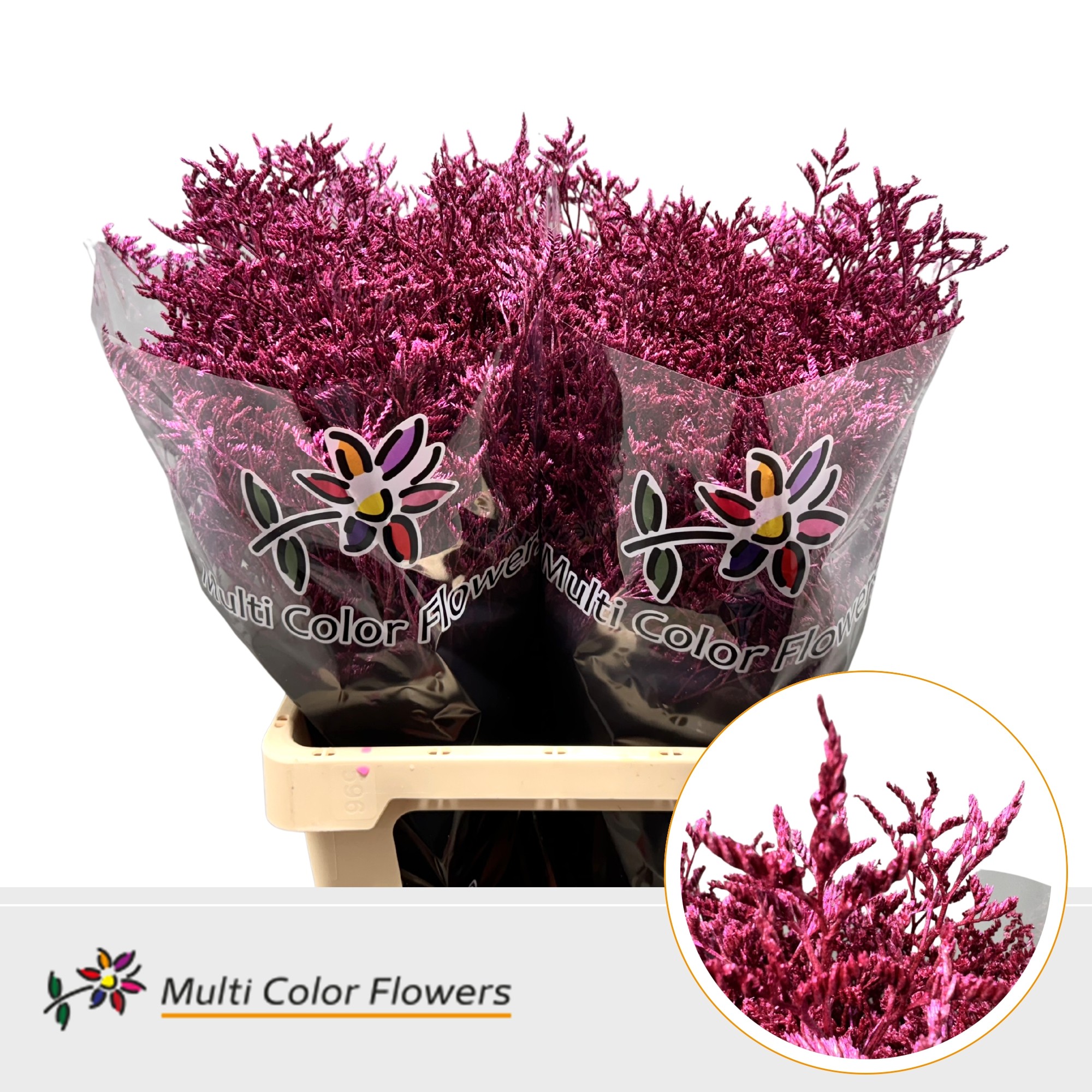 Срезанные цветы оптом Limonium paint metallic erica от 50шт. из Голландии с доставкой по России