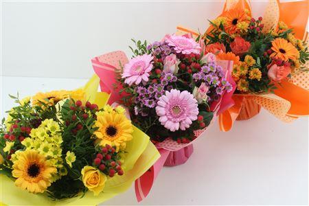 Срезанные цветы оптом Bouquet bulle mix in box от 6шт из Голландии с доставкой по России