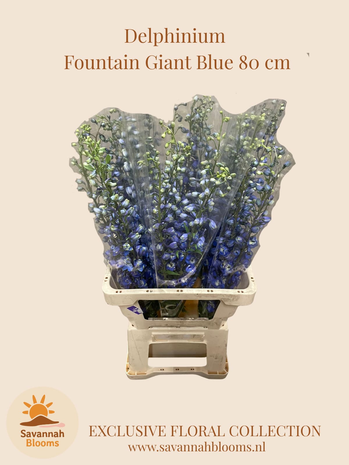 Срезанные цветы оптом Delphinium si bel magic fountain blue от 25шт. из Голландии с доставкой по России