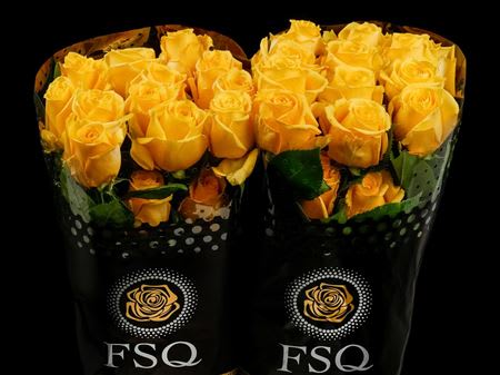 Срезанные цветы оптом Rosa ec super sun от 40шт из Голландии с доставкой по России