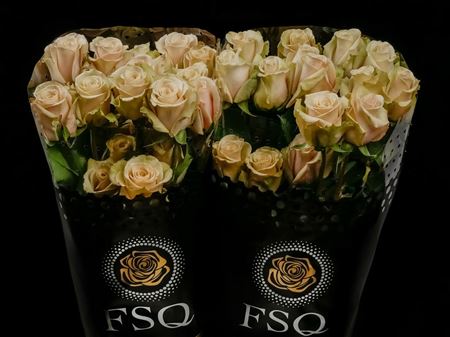 Срезанные цветы оптом Rosa ec sahara от 40шт из Голландии с доставкой по России