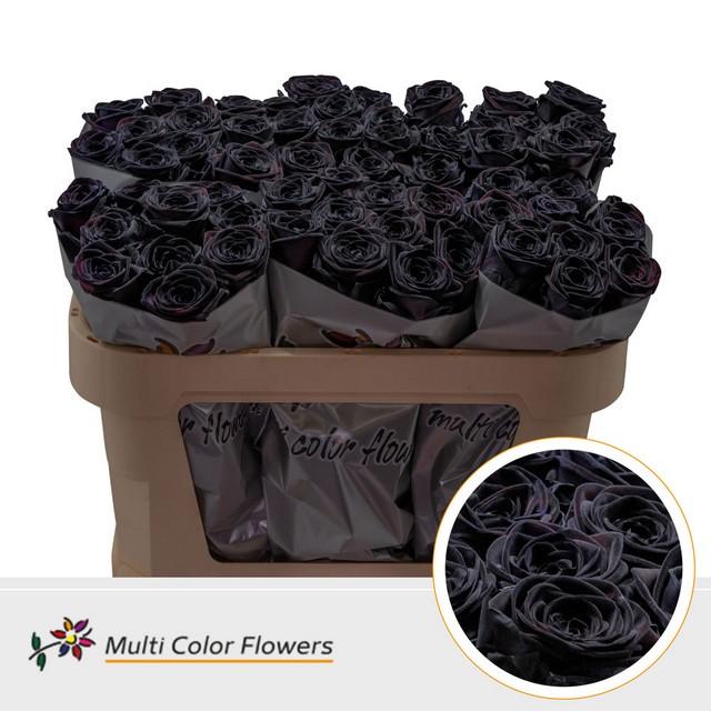 Срезанные цветы оптом Rosa large paint black (red naomi!) от 60шт. из Голландии с доставкой по России