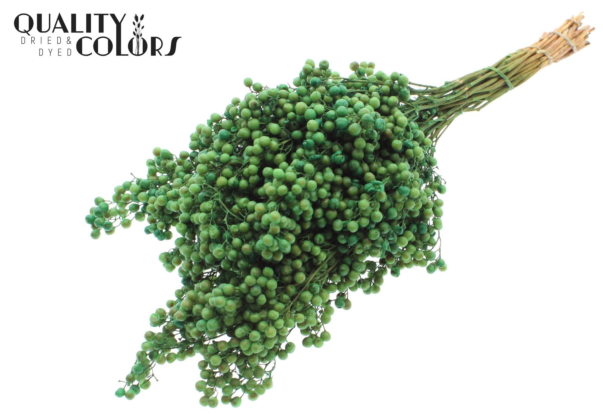 Срезанные цветы оптом Pepperberries per bunch in poly Mint green от 5шт из Голландии с доставкой по России