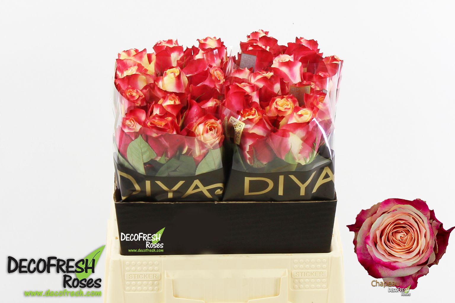 Срезанные цветы оптом Rosa large chapeau от 30шт из Голландии с доставкой по России