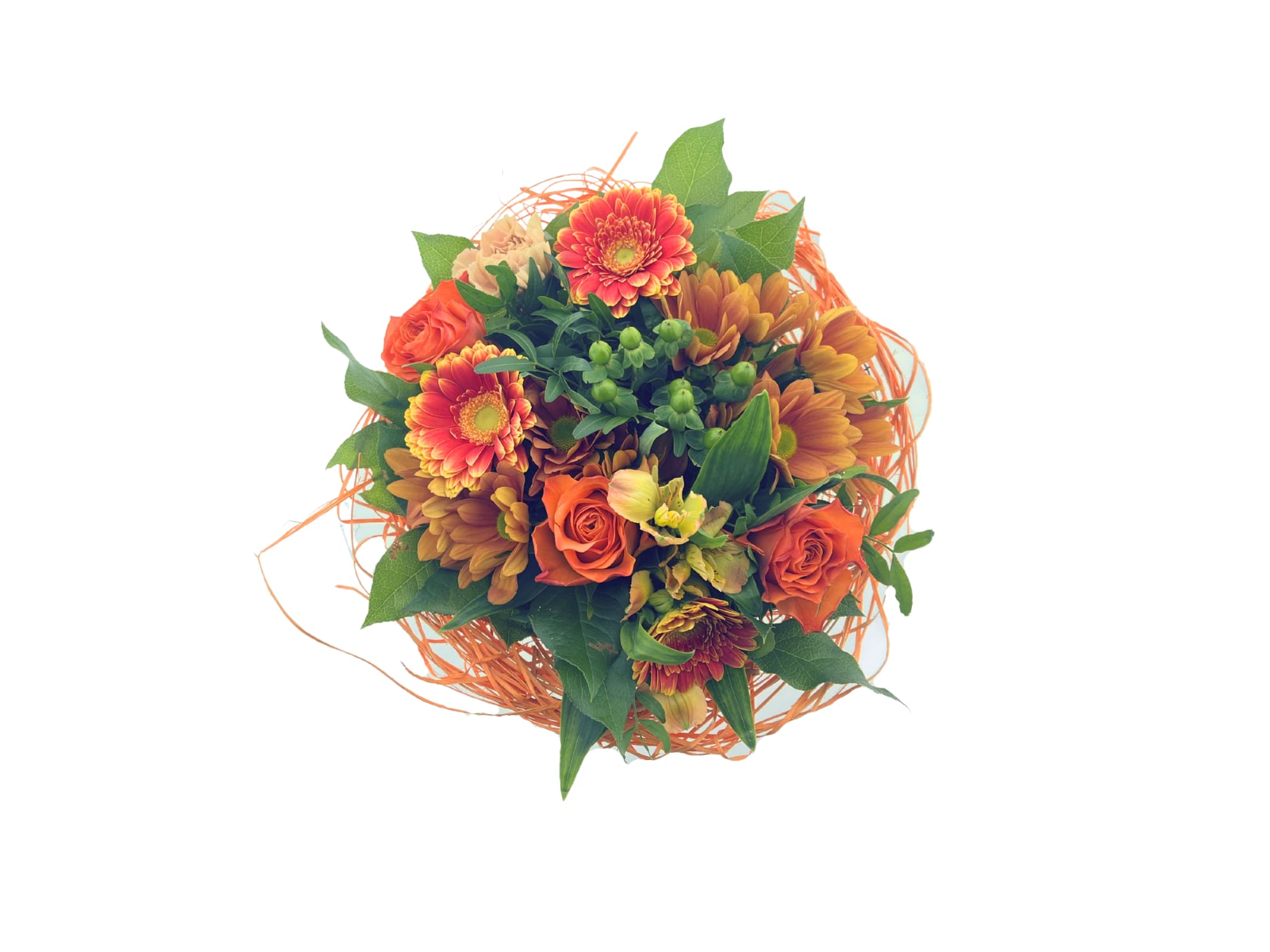 Срезанные цветы оптом BQ Sisal Large Orange от 1шт из Голландии с доставкой по России