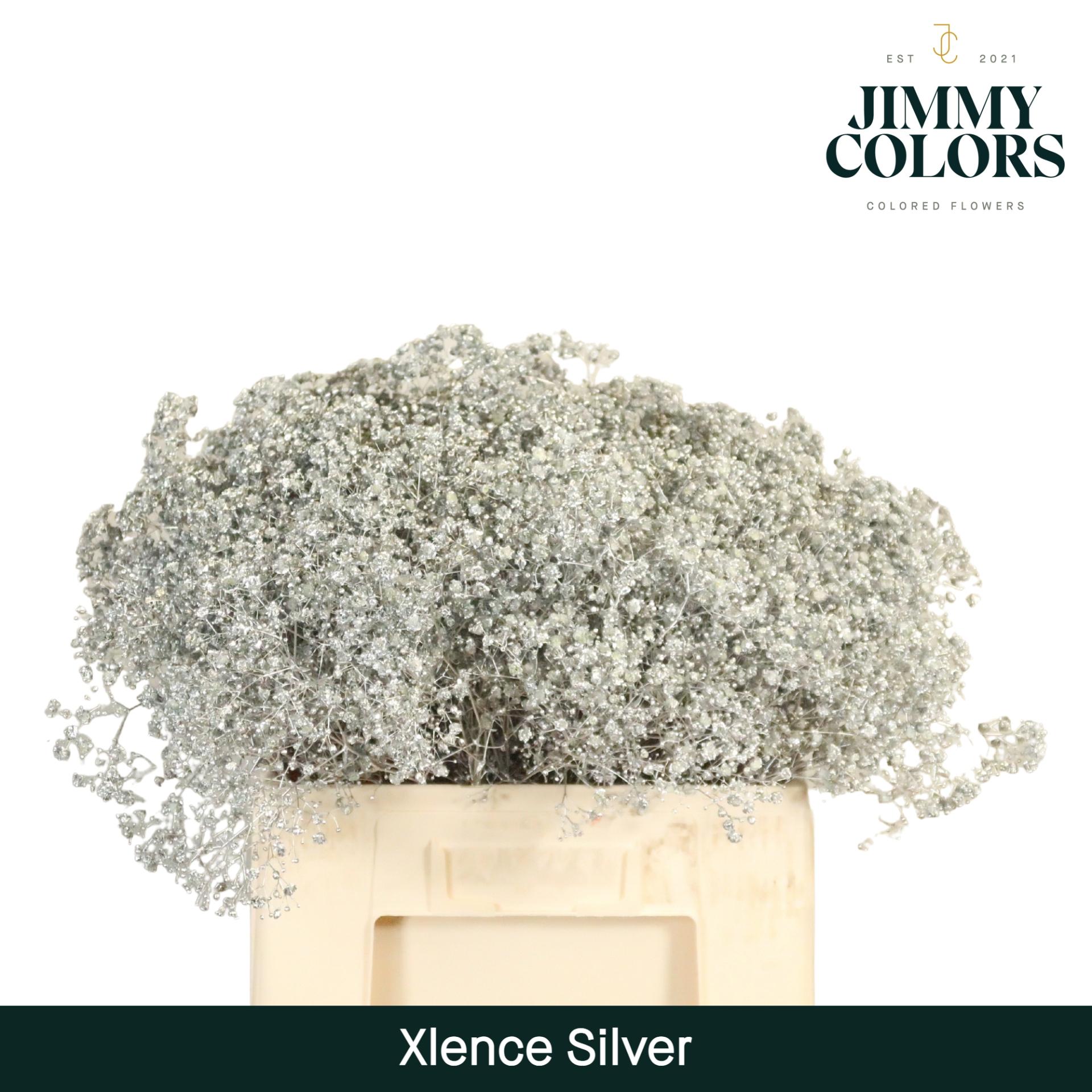 Срезанные цветы оптом Gyps large paint metallic silver от 100шт из Голландии с доставкой по России