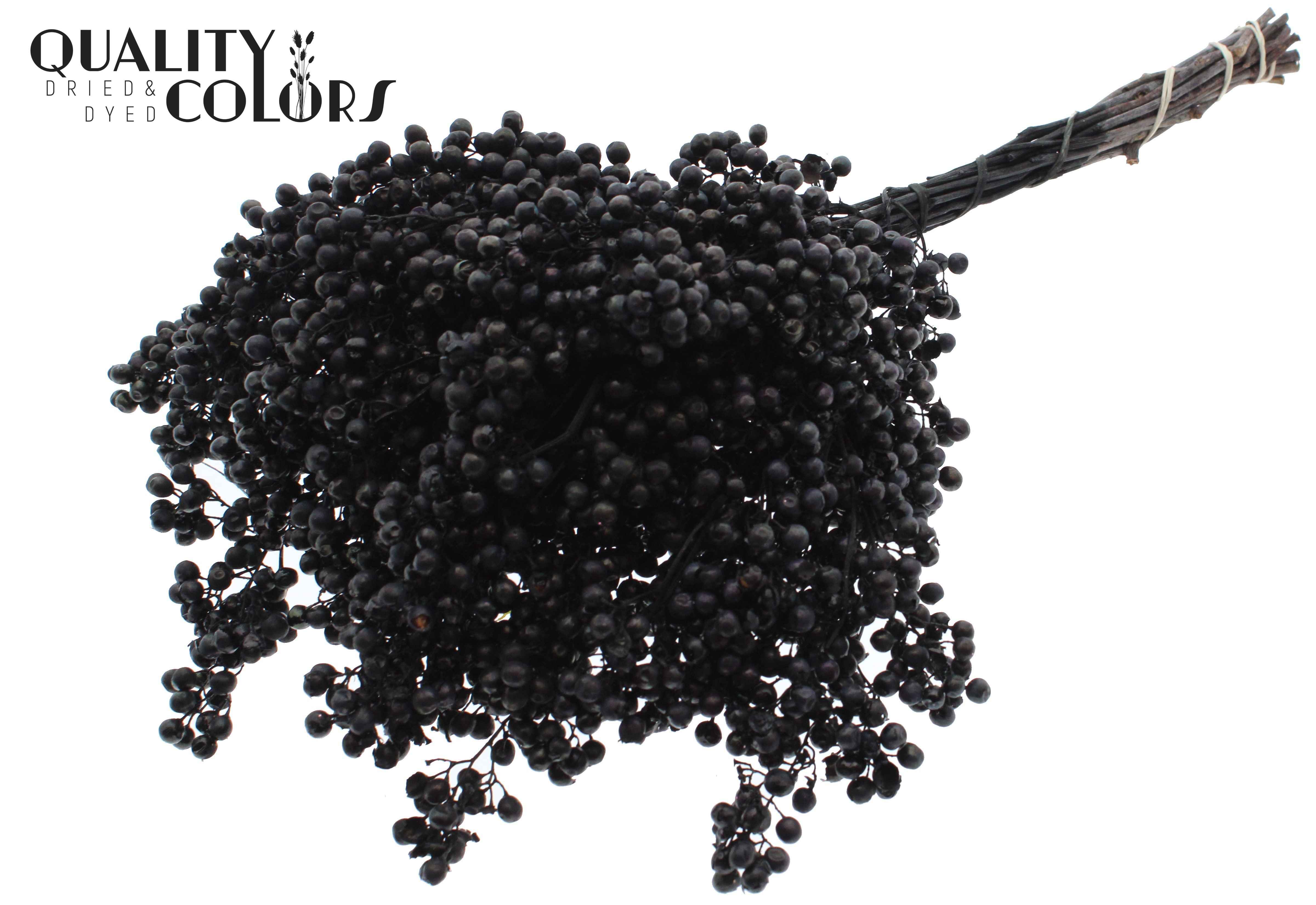 Срезанные цветы оптом Pepperberries per bunch in poly black от 5шт из Голландии с доставкой по России