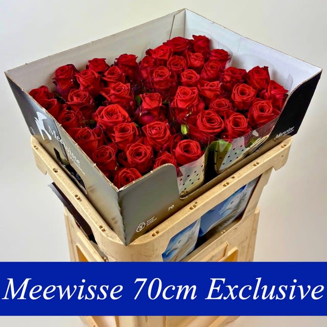 Срезанные цветы оптом Rosa large red naomi! Exclusive от 40шт из Голландии с доставкой по России