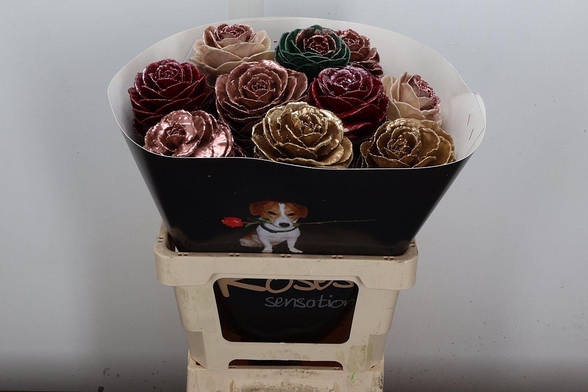 Срезанные цветы оптом Brassica wax mix copper от 10шт из Голландии с доставкой по России