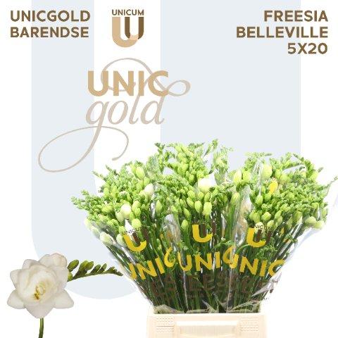 Срезанные цветы оптом Freesia do belleville от 100шт из Голландии с доставкой по России