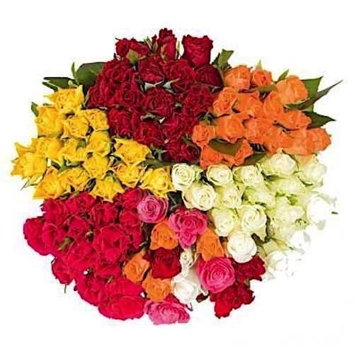 Розы оптом MIX из Эквадора с доставкой по России Розы оптом MIX из Эквадора с доставкой по России