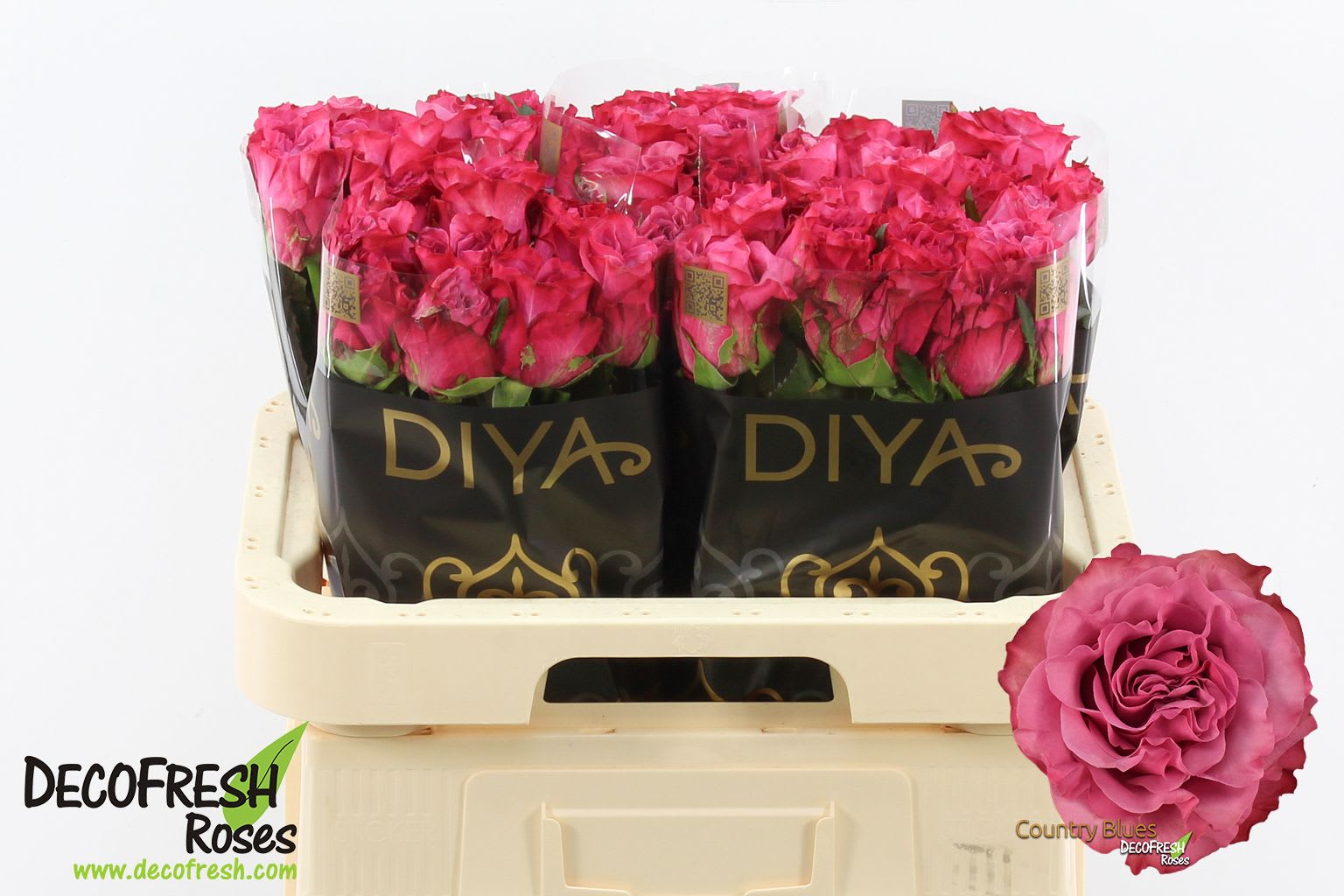 Срезанные цветы оптом Rosa large country spirit blues от 40шт из Голландии с доставкой по России