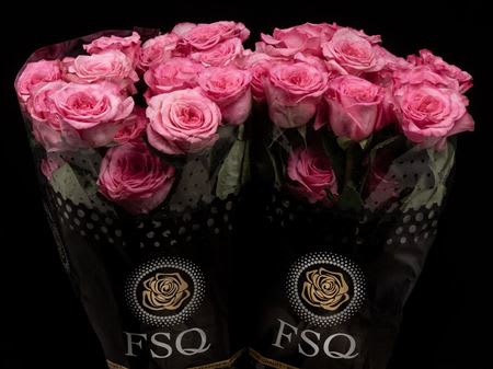 Срезанные цветы оптом Rosa garden ashley pink от 24шт из Голландии с доставкой по России