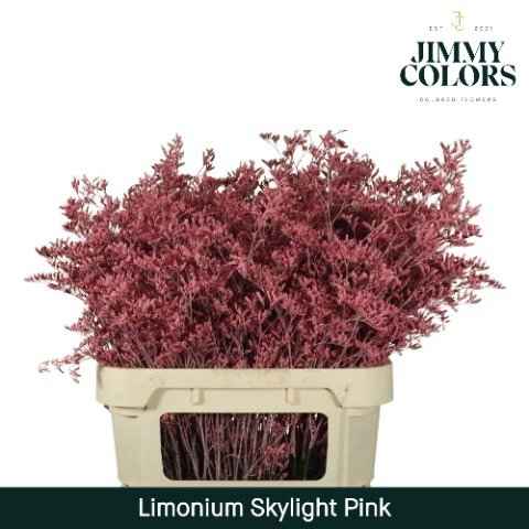 Срезанные цветы оптом Limonium skylight paint pink от 25шт из Голландии с доставкой по России
