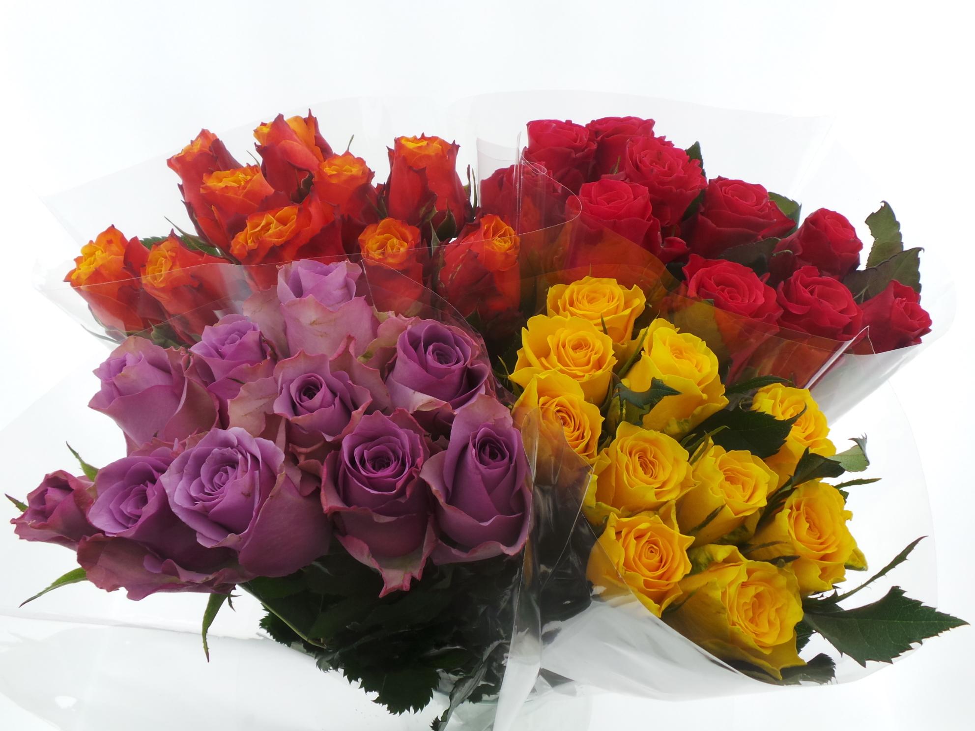 Срезанные цветы оптом BQ Mono Rozen x10 mix 50cm от 10шт из Голландии с доставкой по России
